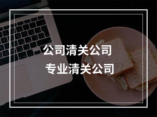 公司清关公司  专业清关公司