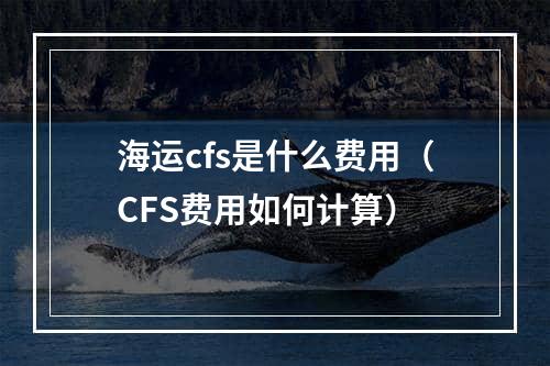 海运cfs是什么费用（CFS费用如何计算）