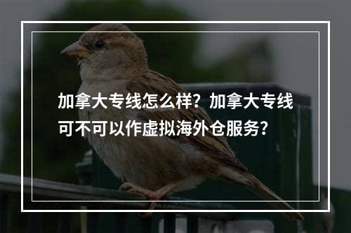 加拿大专线怎么样？加拿大专线可不可以作虚拟海外仓服务？