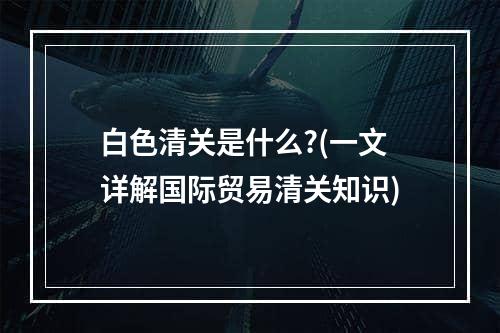 白色清关是什么?(一文详解国际贸易清关知识)