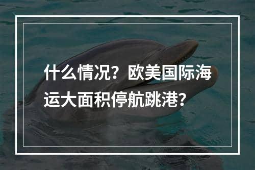 什么情况？欧美国际海运大面积停航跳港？