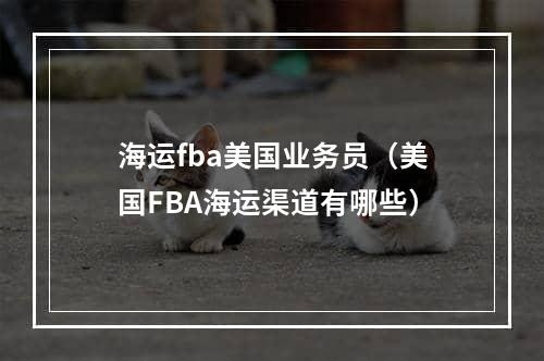 海运fba美国业务员（美国FBA海运渠道有哪些）