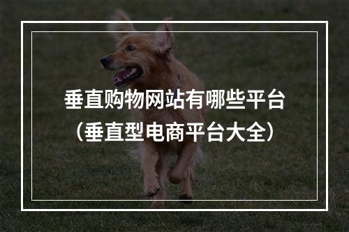 垂直购物网站有哪些平台（垂直型电商平台大全）