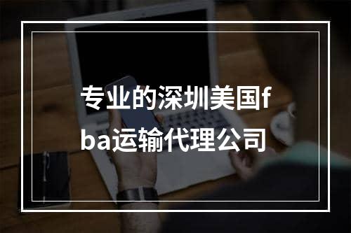 专业的深圳美国fba运输代理公司