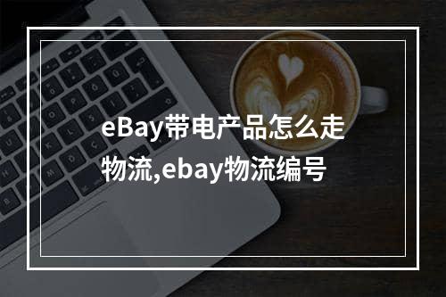 eBay带电产品怎么走物流,ebay物流编号