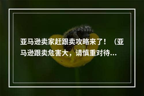 亚马逊卖家赶跟卖攻略来了！（亚马逊跟卖危害大，请慎重对待）