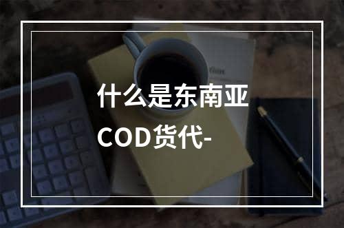 什么是东南亚COD货代-