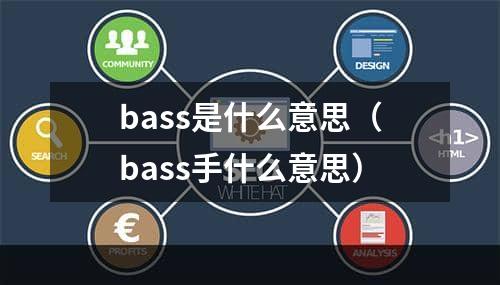 bass是什么意思（bass手什么意思）