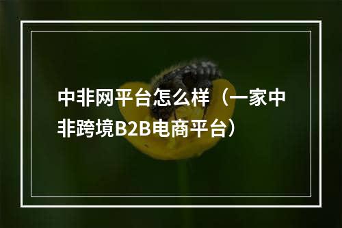 中非网平台怎么样（一家中非跨境B2B电商平台）