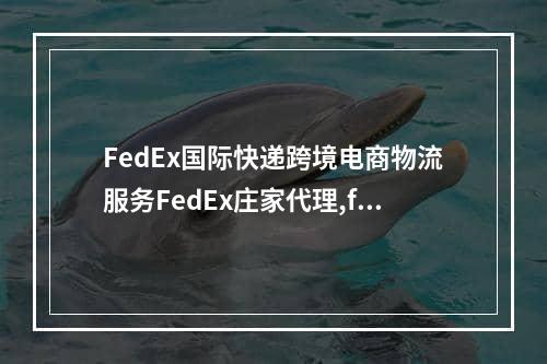 FedEx国际快递跨境电商物流服务FedEx庄家代理,fedex ipf和fedex ief什么区别