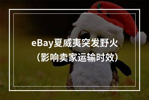 eBay夏威夷突发野火（影响卖家运输时效）