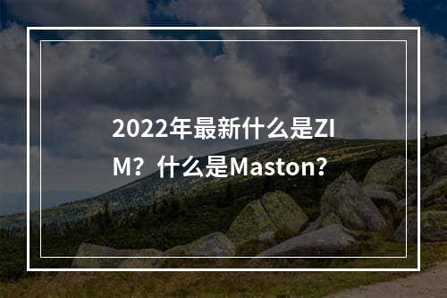 2022年最新什么是ZIM？什么是Maston？