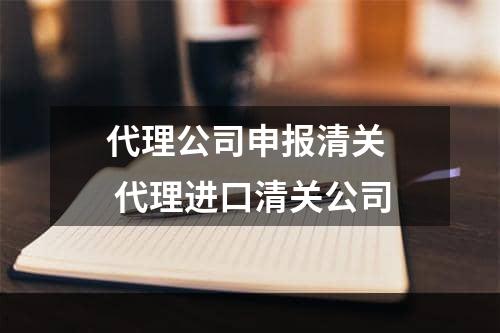 代理公司申报清关  代理进口清关公司