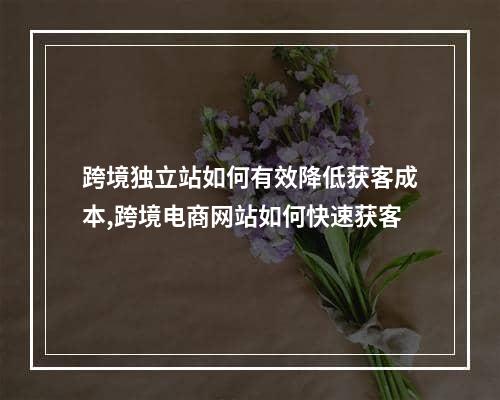 跨境独立站如何有效降低获客成本,跨境电商网站如何快速获客