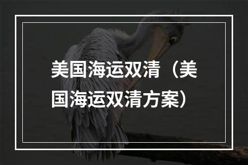 美国海运双清（美国海运双清方案）