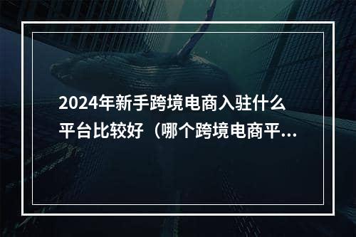 2024年新手跨境电商入驻什么平台比较好（哪个跨境电商平台比较好）