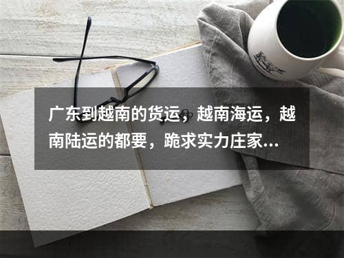 广东到越南的货运，越南海运，越南陆运的都要，跪求实力庄家！,浙江到越南胡志明海运价格多少