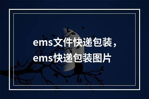 ems文件快递包装，ems快递包装图片