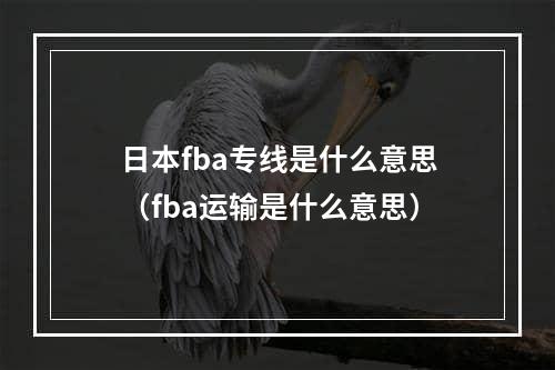 日本fba专线是什么意思（fba运输是什么意思）