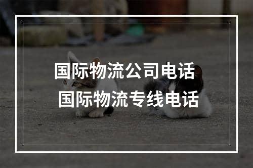 国际物流公司电话  国际物流专线电话