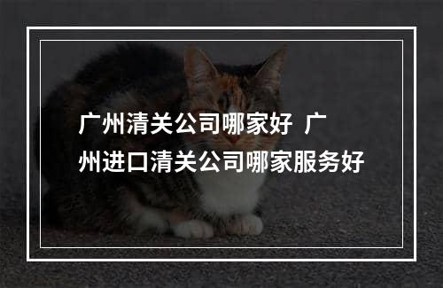 广州清关公司哪家好  广州进口清关公司哪家服务好