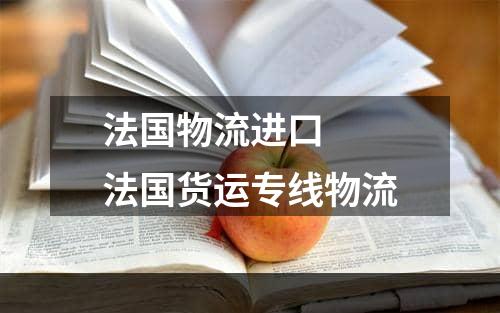 法国物流进口  法国货运专线物流