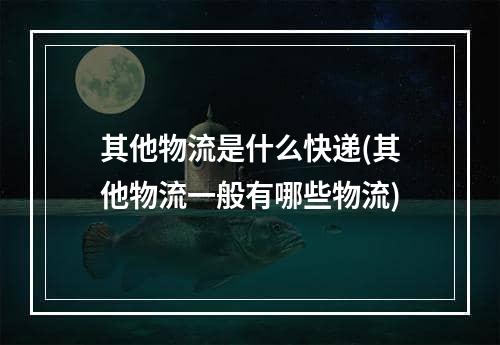 其他物流是什么快递(其他物流一般有哪些物流)