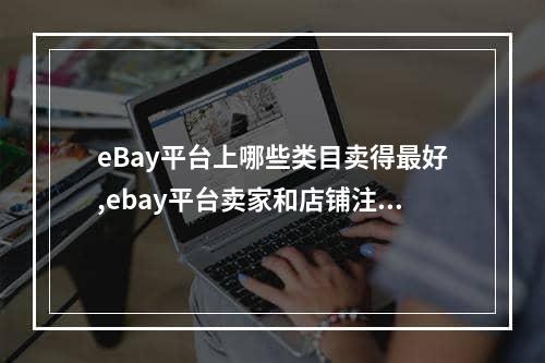 eBay平台上哪些类目卖得最好,ebay平台卖家和店铺注册的ip