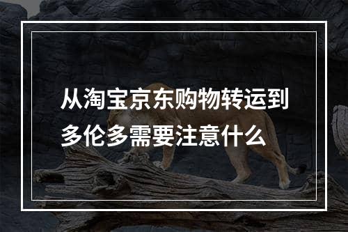 从淘宝京东购物转运到多伦多需要注意什么