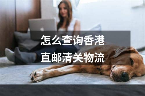 怎么查询香港直邮清关物流