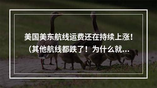 美国美东航线运费还在持续上涨！（其他航线都跌了！为什么就美东在涨）