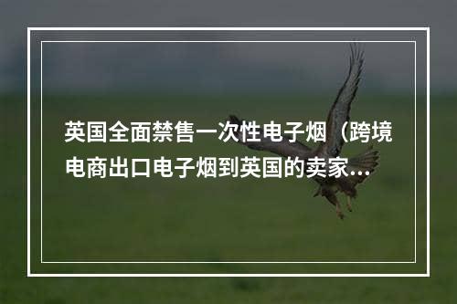 英国全面禁售一次性电子烟（跨境电商出口电子烟到英国的卖家请注意）