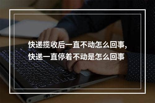 快递揽收后一直不动怎么回事,快递一直停着不动是怎么回事