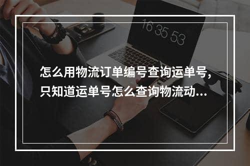 怎么用物流订单编号查询运单号,只知道运单号怎么查询物流动态