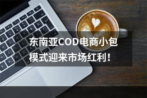 东南亚COD电商小包模式迎来市场红利！