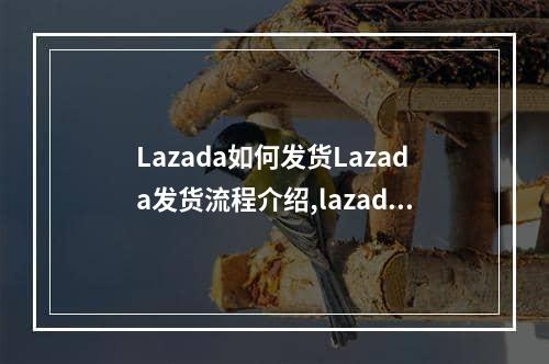 Lazada如何发货Lazada发货流程介绍,lazada下个月推出优选卖家计划