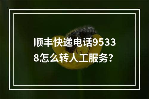 顺丰快递电话95338怎么转人工服务？