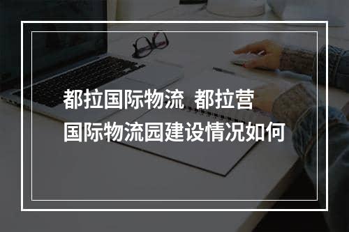 都拉国际物流  都拉营国际物流园建设情况如何