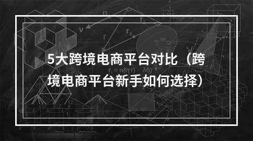 5大跨境电商平台对比（跨境电商平台新手如何选择）