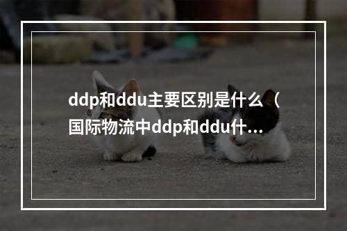 ddp和ddu主要区别是什么（国际物流中ddp和ddu什么意思）