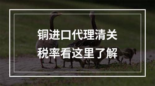 铜进口代理清关税率看这里了解