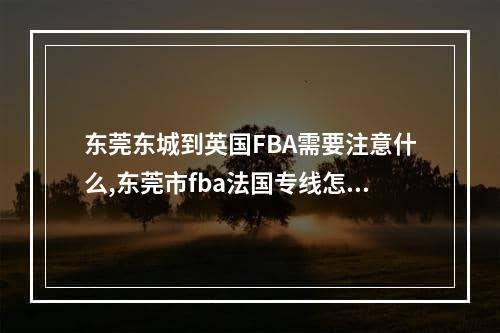 东莞东城到英国FBA需要注意什么,东莞市fba法国专线怎么发