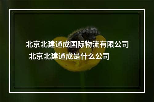 北京北建通成国际物流有限公司  北京北建通成是什么公司