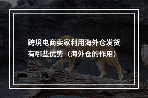 跨境电商卖家利用海外仓发货有哪些优势（海外仓的作用）