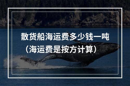 散货船海运费多少钱一吨（海运费是按方计算）