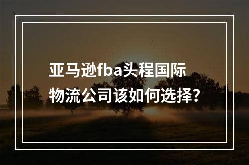 亚马逊fba头程国际物流公司该如何选择？