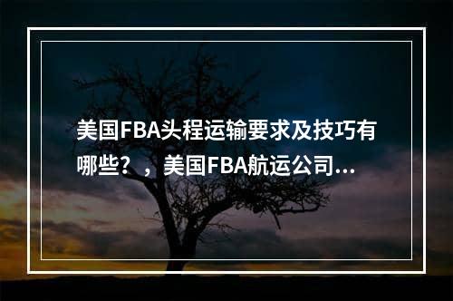 美国FBA头程运输要求及技巧有哪些？，美国FBA航运公司的运输要求和技术是什么？