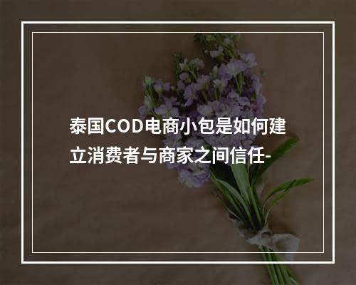 泰国COD电商小包是如何建立消费者与商家之间信任-