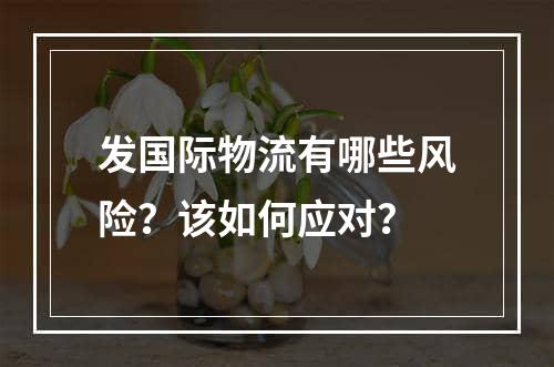 发国际物流有哪些风险？该如何应对？