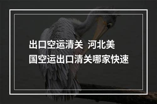 出口空运清关  河北美国空运出口清关哪家快速